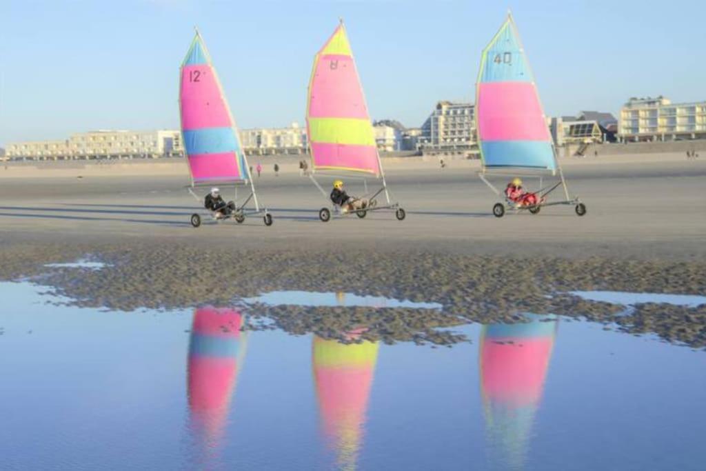 Апартаменти Cozy D'Opale Charmant T1 Bord De Mer Cour Privee Et Clot Wifi 3 Pers Animaux Acceptes Gratuit Berck Екстер'єр фото