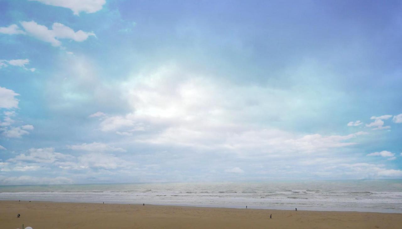 Апартаменти Cozy D'Opale Charmant T1 Bord De Mer Cour Privee Et Clot Wifi 3 Pers Animaux Acceptes Gratuit Berck Екстер'єр фото